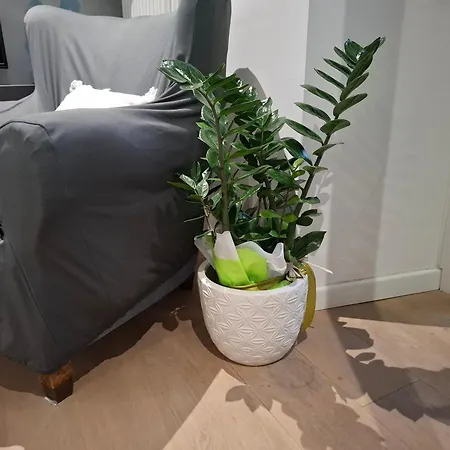 New On Apartmán *